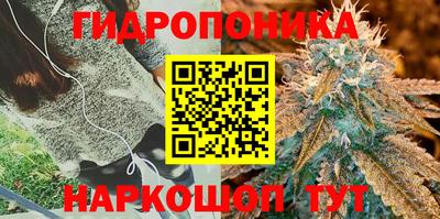 твердый Бузулук