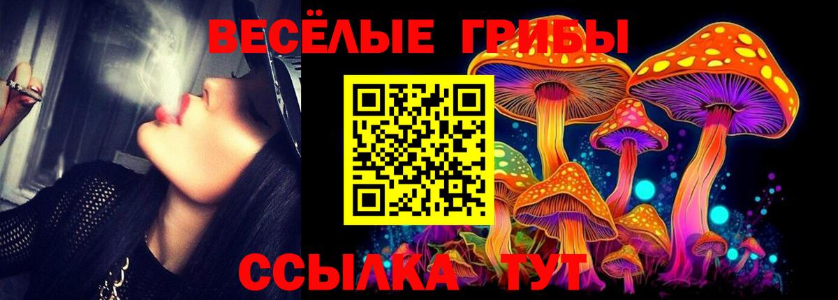Галлюциногенные грибы ЛСД Ртищево