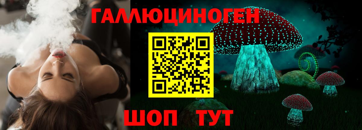 Ртищево  Галлюциногенные грибы Psilocybine cubensis  магазин продажи   Вход с VPN 
